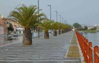 /album/olbia/lungo-mare-jpg/